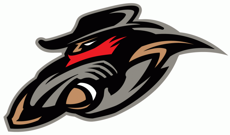 ottawa renegades 2002-2005 alternate logo v3 DTF transfer for t shirt